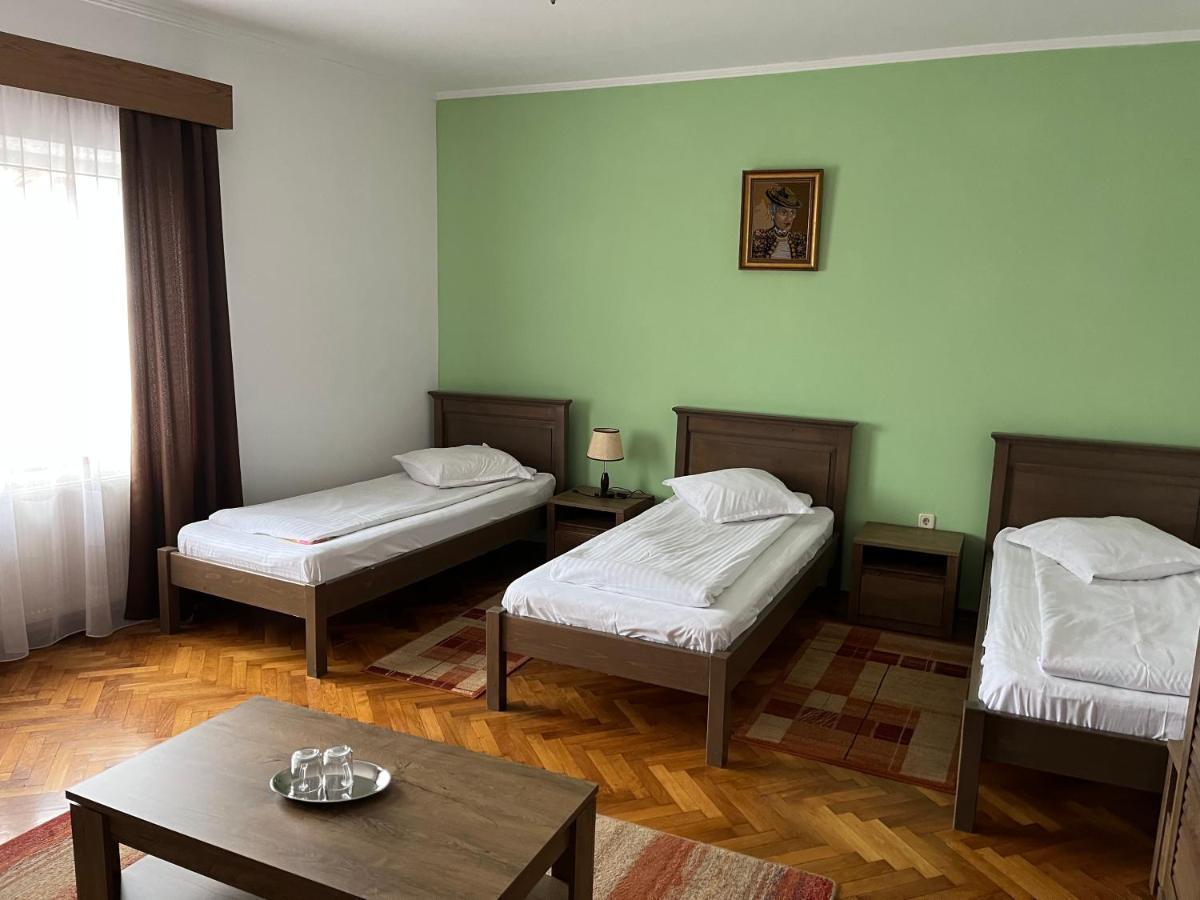 Hotel Pensiunea Diana Făgăraş Exterior foto